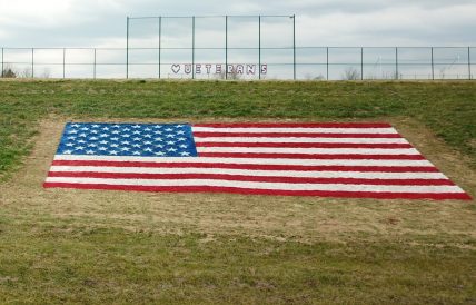 article image - Barnes2